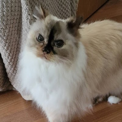 LinuxServe73319's profile picture. 