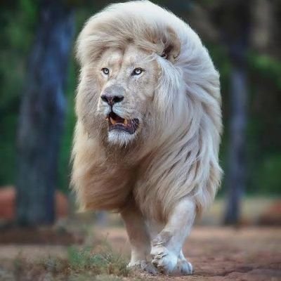 Odili_isdore's profile picture. S4ZNLFDE