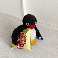 트케 (@teuke0) 's Twitter Profile