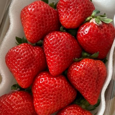 コムドットのファンです。娘にはドッティーって呼ばれてます。母ドット世代東北地方在住のコムドット保護者です。 どうか世界が優しさであふれますように🍀
