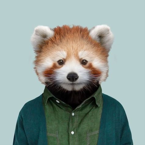 daryl21672140's profile picture. holding CloneX @RTFKT and @adidas ITM. BTC is King