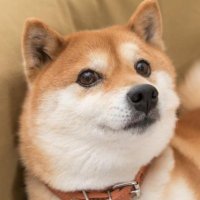 AK (@alekseikaplin) 's Twitter Profile