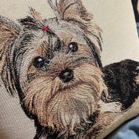𝘈𝘺𝘢 (@ayathefoodie) 's Twitter Profile Photo 𝘈𝘺𝘢 (@ayathefoodie) 's Twitter Profile Photo