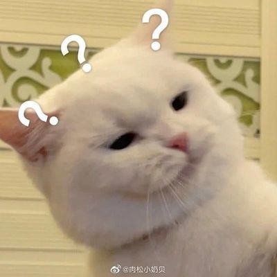 debukail's profile picture. hanya orang gabut