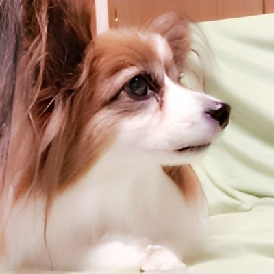 ありがとうをあなたに ~@rinu_nico~