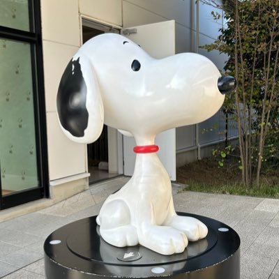 パンチラ動画などのフェチ撮影してます。モデルさん募集中です。絡み、接触なし。詳しく→https://t.co/qjszPBNN2D DMかメールで→ hip.feti7716@gmail.com