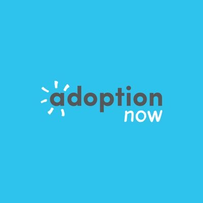 Adoptionnow_ Profile Picture