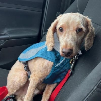 herrin_lar18629's profile picture. I'm very simple guy who has a great sense of humor ,loyal,honest,caring ,work hard.