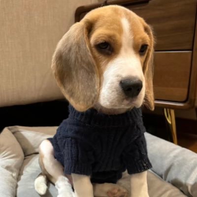 Freddy9411Ryan's profile picture. 