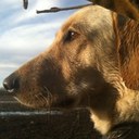 Scott Sines - @scott_sines - Twitter