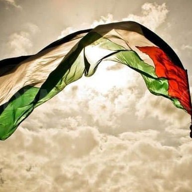 Palestine will be free from the river to the sea 🇵🇸