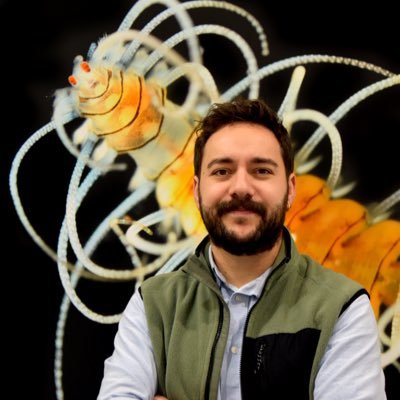 curator of wormy invertebrates & echinoderms @Senckenberg #polychaetes #chaetae 🧬🪱🏳️‍🌈 he/him 📖 : https://t.co/1BiXySMNz8 — https://t.co/4OuL8zodgR —