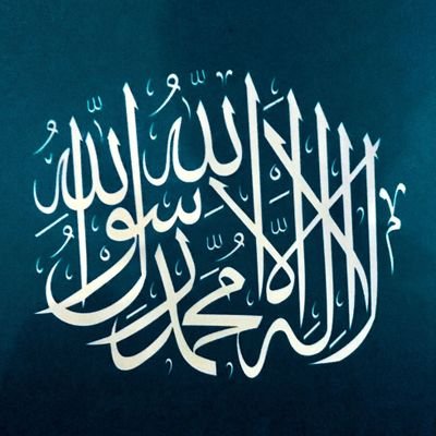 kullanici132's profile picture. 