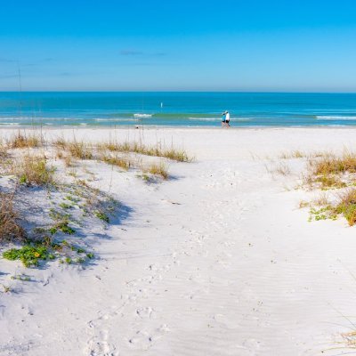 ShePlays1's profile picture. Lover of RPG  (gamer)    MAGA    Living the life in FL