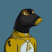 Don (@508crypto) 's Twitter Profile