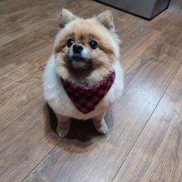 Jc240869 (@jonathanch59362) 's Twitter Profile