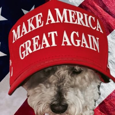 C1118755's profile picture. Death has been swallowed up in victory
1 Corinthians 15:54 
Ultra MAGA
Trump Wins AGAIN!
Shadow banned but doesn't mean my tweets are bad.

🇺🇸💯❤️