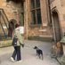 Tasmin Alexander (@tasminalexander) Twitter profile photo Tasmin Alexander (@tasminalexander) Twitter profile photo