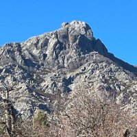 CAMPANA JFP (@jfpc_csc) 's Twitter Profile