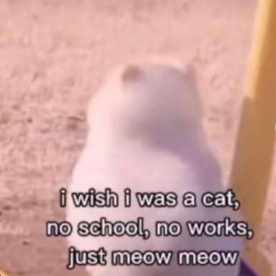 anarkentin's profile picture. informatique option mariokartage

1312 évidemment

LFI et PCF hate account 🫶 🏴🏳️‍🌈🇵🇸

Il/Lui/Iel