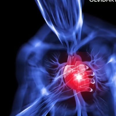 Gabriel97990292's profile picture. 