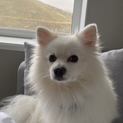 HaroldRitc75776's profile picture. 