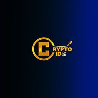 CryptoIDO(@CryptoID0) 's Twitter Profile Photo