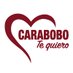 Gobierno de Carabobo (@CaraboboGB) Twitter profile photo