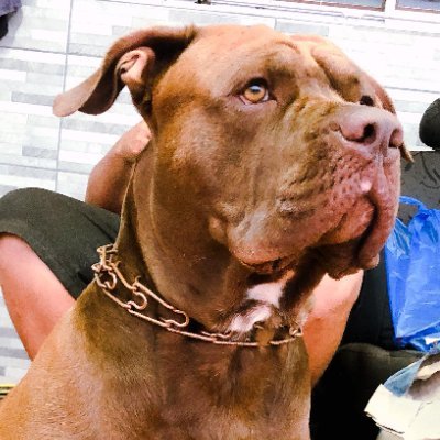 henrislip's profile picture. 