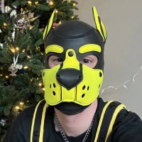 PupZoomy(@PupZoomy) 's Twitter Profile Photo