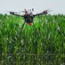 Purdue Digital Agriculture (@idaaspurdue) Twitter profile photo Purdue Digital Agriculture (@idaaspurdue) Twitter profile photo