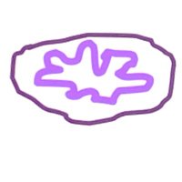 Cellular Bioenergetics Laboratory (@cellbioenerglab) 's Twitter Profile