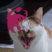 アル (@al_trpg_cat) 's Twitter Profile Photo アル (@al_trpg_cat) 's Twitter Profile Photo