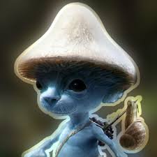 romlinelingat's profile picture. 