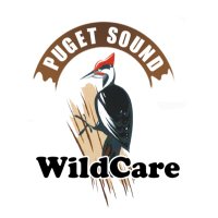 PugetSoundWildcare (@pugetsoundwc) 's Twitter Profile