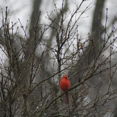 B. Hayden photography with a focus on nature. Photography for years was a hobby for me. I really enjoy just being able to share my photos with others.