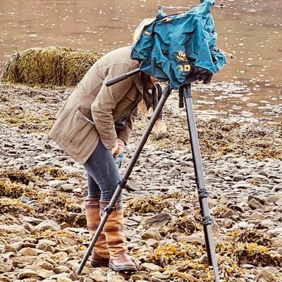 Paula Williams Profile