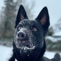 jarthoben (@jarthoben) 's Twitter Profile