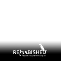 RPSM (@rpsmdogs) 's Twitter Profile