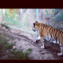 adam rohrer - @adamrohr904 - Twitter