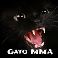 Gato_MMA(@Gato_MMA) 's Twitter Profile Photo