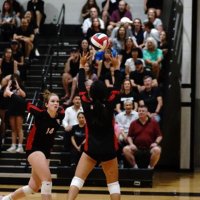 Briana Vo (@brianavolley) 's Twitter Profile