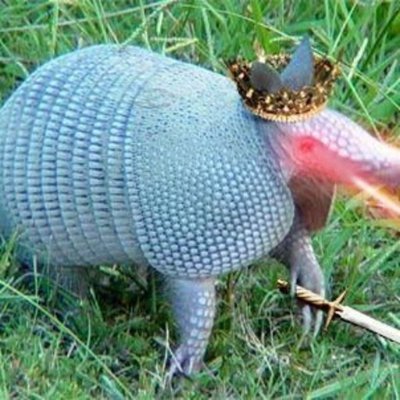 Armadillo King, Professional Lurker, Part-Time Anomaly