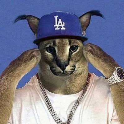 exoticdao's profile picture. remember you will never regret being kind.