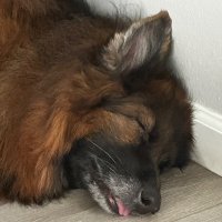 s_boychuck (@retireincloud_s) 's Twitter Profile