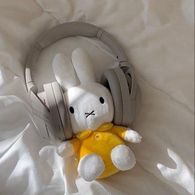 hachico__acca's profile picture. 琉球ゴールデンキングス👑🌺   #1️⃣0️⃣