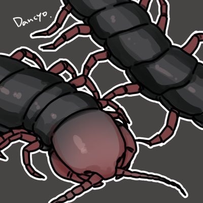 rurur12121's profile picture. 鯨川動物園だんちょ:園長推し！！ 漫画も大好きです！！💙🩹✖︎ 🌸🐍 魚.虫.寄食LOVE