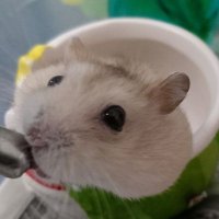 TTT (@2024_ttt) 's Twitter Profile Photo