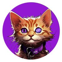 Jugni (@jugnipolygon) 's Twitter Profile Photo Jugni (@jugnipolygon) 's Twitter Profile Photo