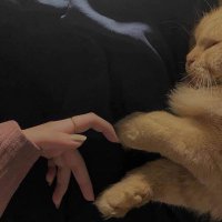 F’a (@fatma_helall) Twitter profile photo